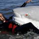 Illustration for article titled Mythbusters Shark Week: Real Sharks Eat Robot Dog, Robot Shark Eats Real People